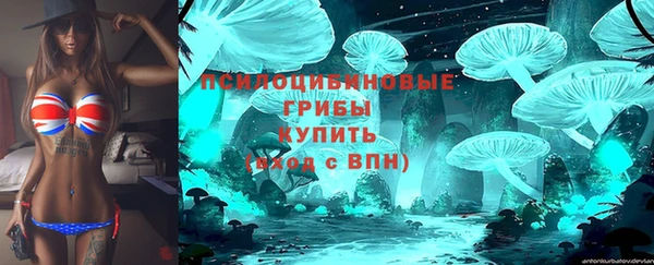 a pvp Аркадак