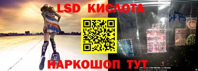 ГАЛЛЮЦИНОГЕННЫЕ ГРИБЫ Краснознаменск