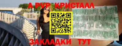 шишки Бийск