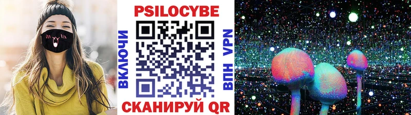 OMG маркетплейс  Городец  Псилоцибиновые грибы Psilocybe 
