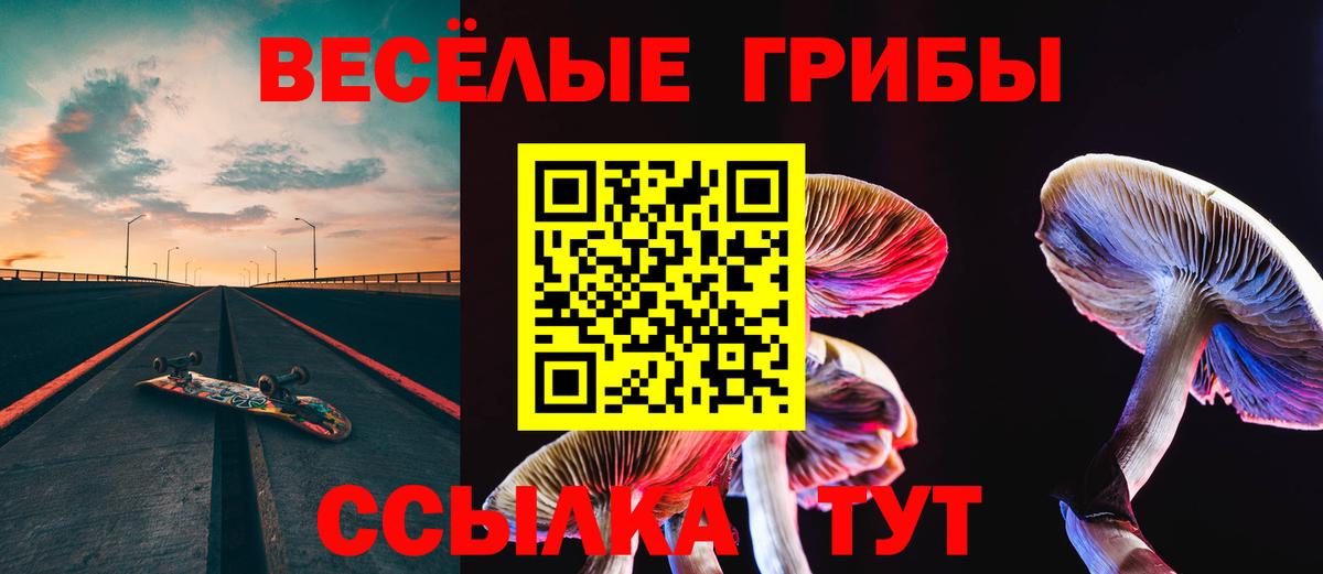 Галлюциногенные грибы Psilocybine cubensis Городец