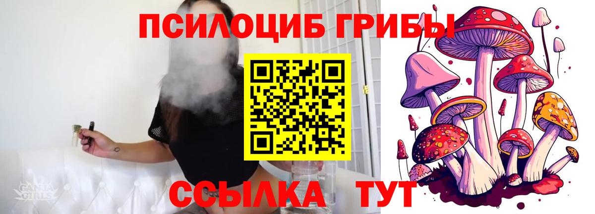Галлюциногенные грибы мицелий  Псилоцибиновые грибы мицелий  Вход с VPN  Городец 